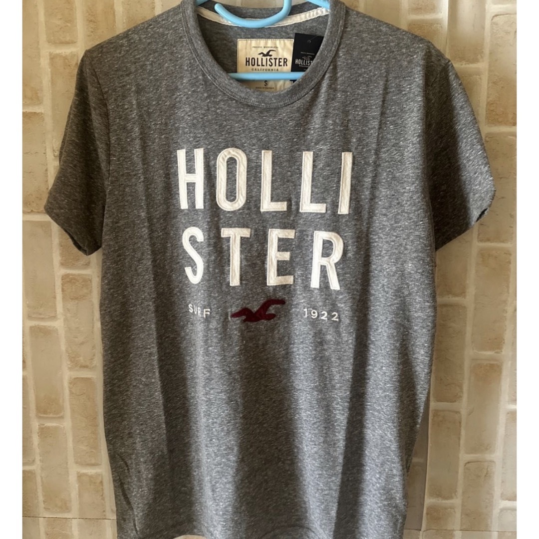 Hollister(ホリスター)の『SALE』HOLLISTER アップリケロゴTシャツ【S】 メンズのトップス(Tシャツ/カットソー(半袖/袖なし))の商品写真