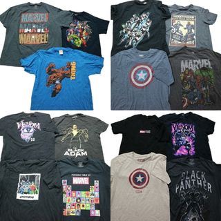 古着卸 まとめ売り マーベル DCコミック 半袖Tシャツ 15枚セット (メンズ XL ) キャラクター 黒 青 グレー ネイビー ベージュ MS6993(その他)