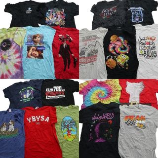 古着卸 まとめ カラーmix プリント 半袖Tシャツ 19枚 (メンズ L ) ワンポイント 英字ロゴ プリントロゴ ディズニー キャラクター MS7003(その他)