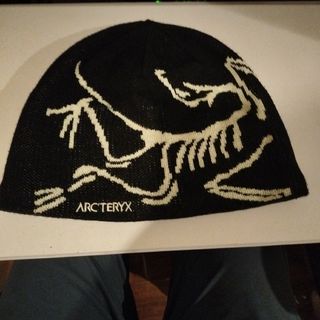 ARC'TERYX - arc’teryx Bird Head Toque