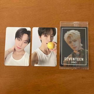 セブンティーン(SEVENTEEN)のSEVENTEEN セブチ アルバム トレカ & ステッカー ディノ (アイドルグッズ)