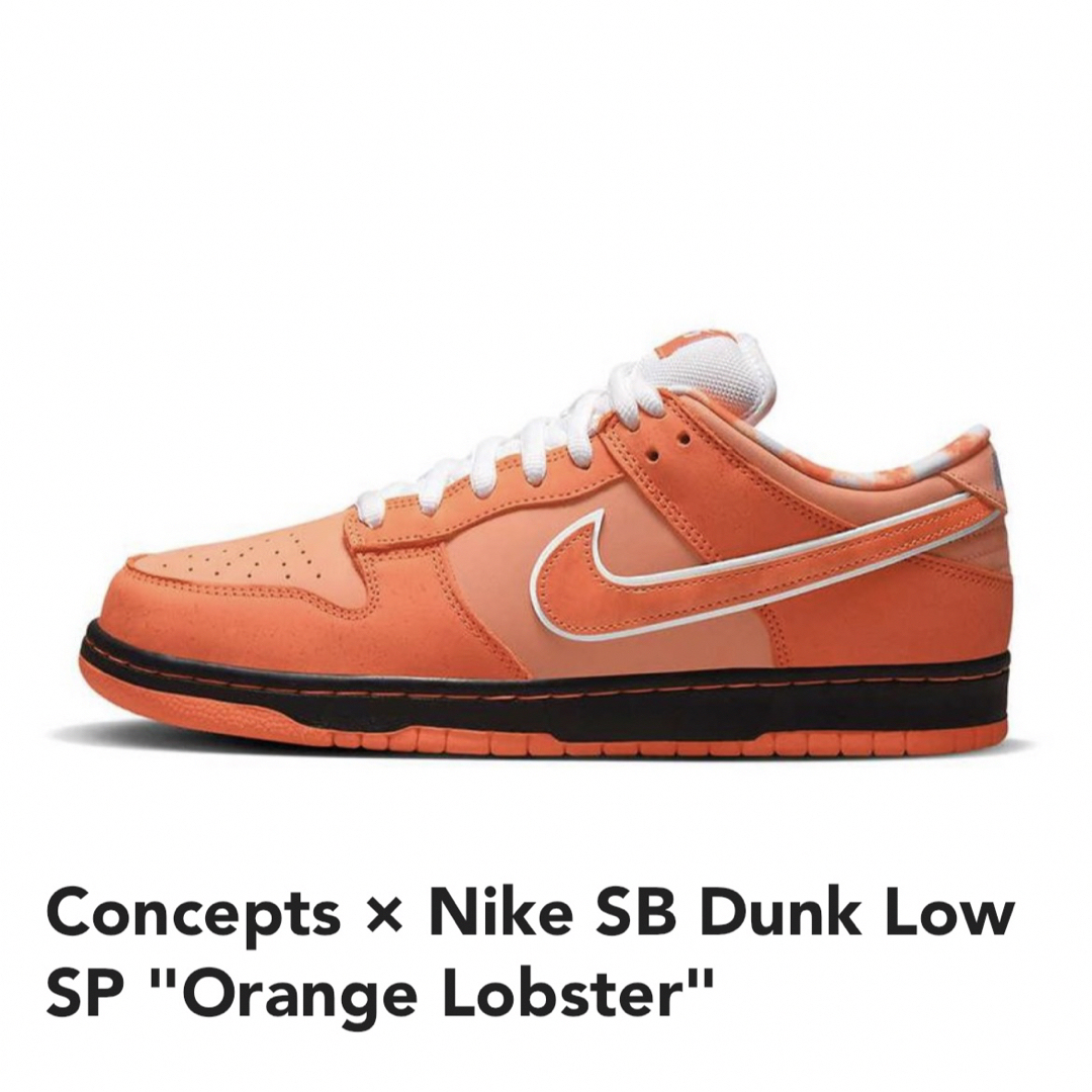 NIKE(ナイキ)のConcepts × Nike SB Dunk Low SP メンズの靴/シューズ(スニーカー)の商品写真