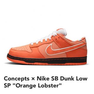 NIKE - Concepts × Nike SB Dunk Low SP