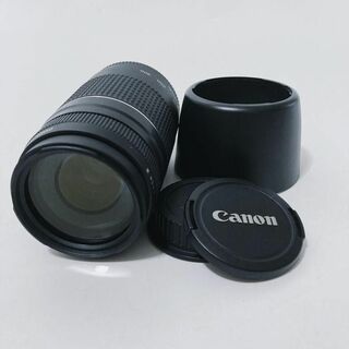 キヤノン(Canon)のCanon EF 75-300mm 4-5.6 III キヤノン 望遠レンズ(レンズ(ズーム))