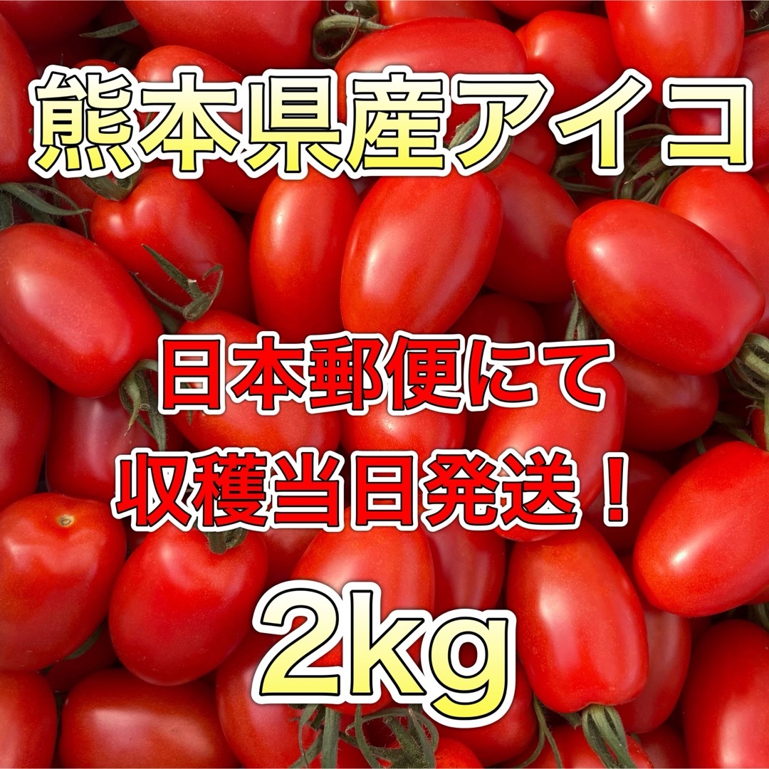 熊本県産ミニトマト アイコ 2kg 日本郵便 食品/飲料/酒の食品(野菜)の商品写真