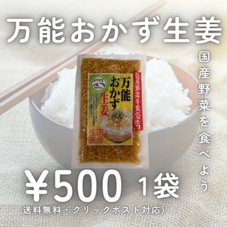 《万能おかず生姜》1袋  おかず 生姜 国産 九州 漬物 食品 グルメ 送料無料