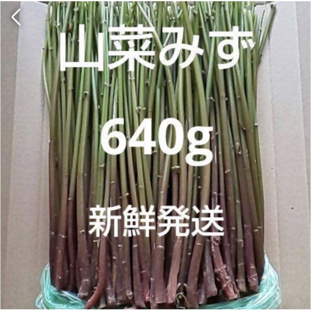 10  山菜　みず　ミズ　660g  新鮮発送 食品/飲料/酒の食品(野菜)の商品写真