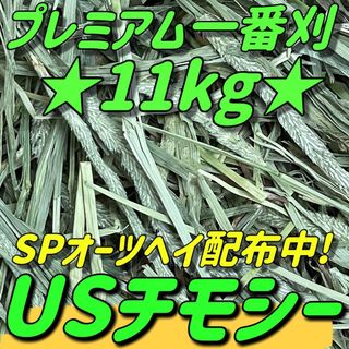 ★11kg ★プレミアムチモシー うさぎ 小動物 ペットフード 牧草おやつ(ペットフード)