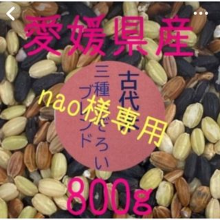 nao様専用　古代米3種ふぞろいブレンド　愛媛県産　800ｇ(米/穀物)