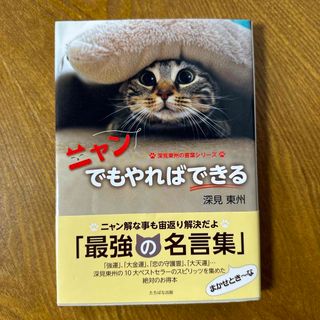 ニャンでもやればできる(文学/小説)