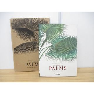 ■01)【同梱不可】The Books Of Palms/Martius/TASCHEN/2010年発行/洋書/ヤシの木/マルティウス/植物学/作品集/図録/画集/断面図/A(アート/エンタメ)