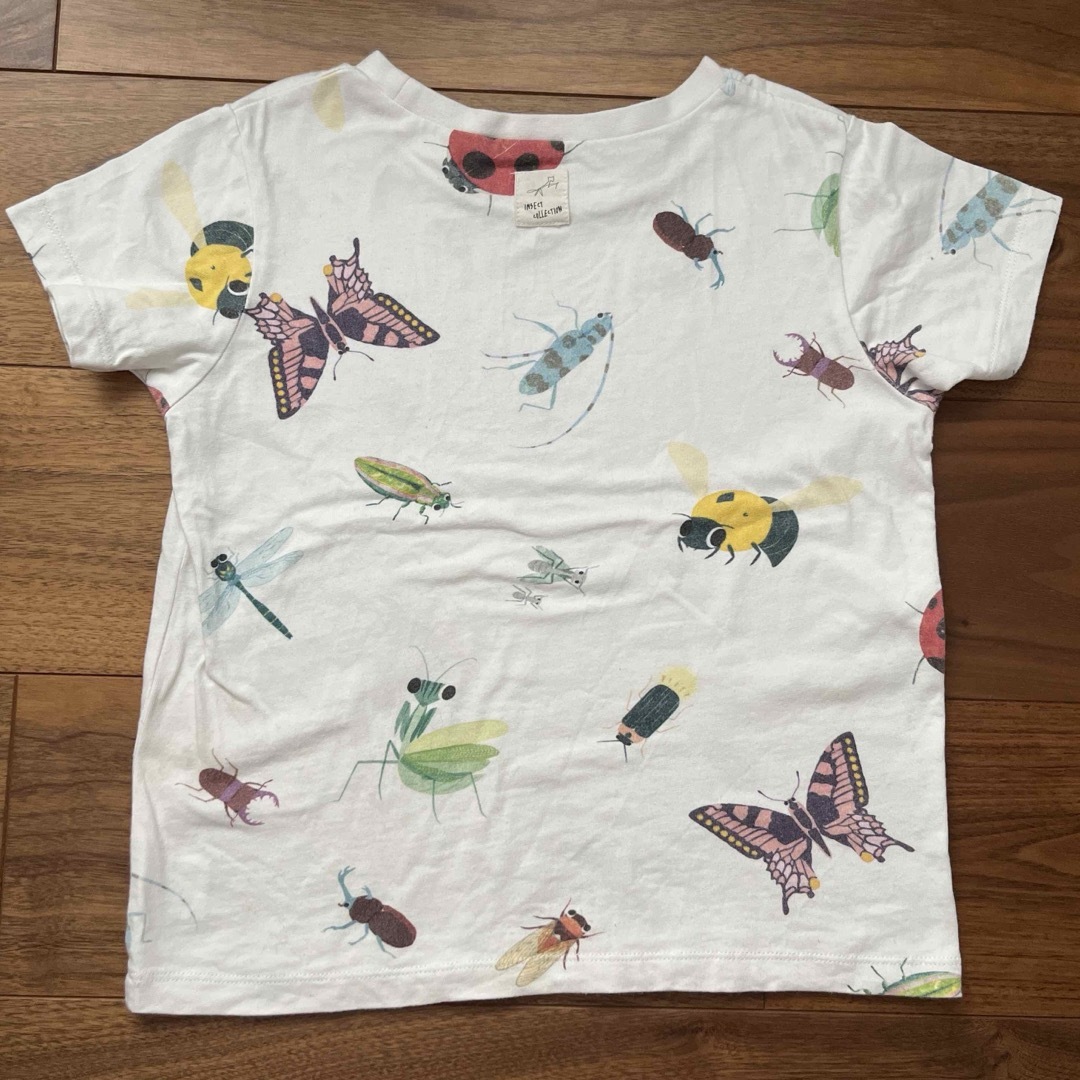 INSECT　COLLECTION(インセクトコレクション)の[バロン様専用]限定 インセクトコレクション Tシャツ 105 キッズ/ベビー/マタニティのキッズ服男の子用(90cm~)(Tシャツ/カットソー)の商品写真