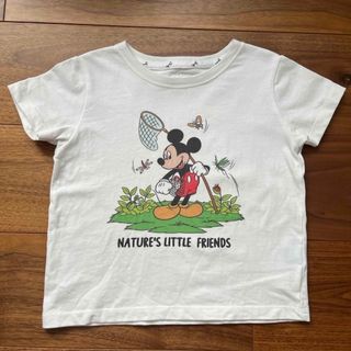 インセクトコレクション(INSECT　COLLECTION)の[バロン様専用]限定 インセクトコレクション Tシャツ 105(Tシャツ/カットソー)