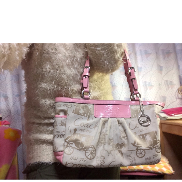 コーチ COACH ハンドバッグ 3