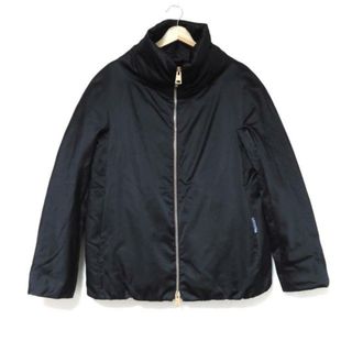 ヘルノ(HERNO)のHERNO(ヘルノ) ダウンジャケット サイズ44 S メンズ美品  - 黒 長袖/ジップアップ/冬(ダウンジャケット)