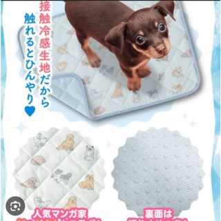 ベネッセ(Benesse)のいぬのきもち / 付録 / ひんやりキルトマット /ベネッセ / 新品(犬)