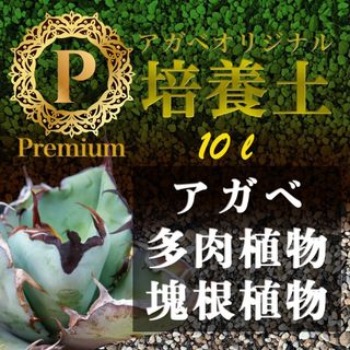 アガベ土☆オリジナル培養土Premium10㍑（アガベ各種サボテン多肉植物の土）(その他)