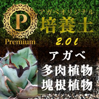 アガベ土☆オリジナル培養土Premium2㍑（アガベ各種サボテン多肉植物の土）(その他)