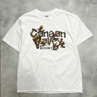 00s GILDAN ギルダン　半袖　Tシャツ　古着　ヴィンテージ　アメカジ(Tシャツ/カットソー(半袖/袖なし))