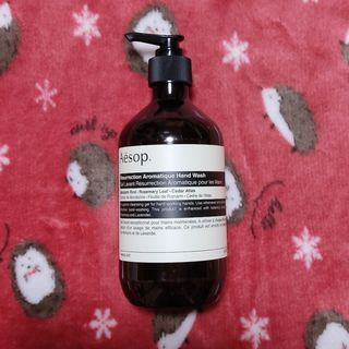 イソップ(Aesop)の④Aesopイソップ空ボトル ハンドソープボトル500ml(容器)