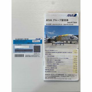 エーエヌエー(ゼンニッポンクウユ)(ANA(全日本空輸))のANA株主優待券 1枚・グループ優待券 1枚(その他)