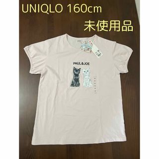 ユニクロ(UNIQLO)のUNIQLO UT ポール&ジョー　160cm(Tシャツ/カットソー)