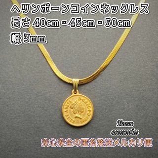 ヘリンボーンコインネックレス　(スネークチェーンコインネックレス) 18KGP(ネックレス)