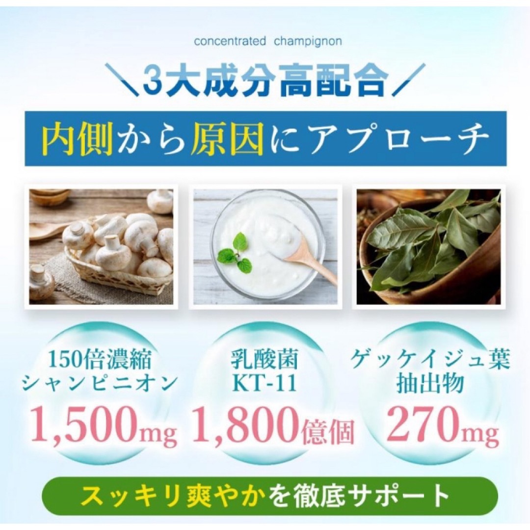 [シャンピニオン] デオタブ DEO TABU 1袋30粒[格安]  食品/飲料/酒の健康食品(その他)の商品写真