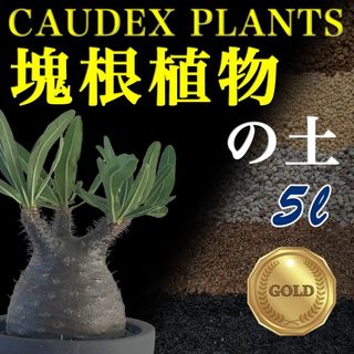 塊根植物の土Gold5㍑培養土　パキポディウム・アデニウム等　グラキリス(その他)