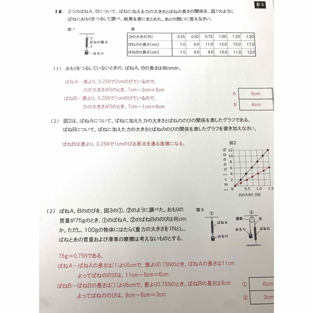 中1理科　光・音・力 暗記プリント　★定期テスト・受験対策 エンタメ/ホビーの本(語学/参考書)の商品写真