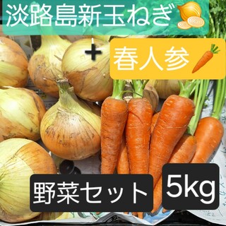 淡路島新玉ねぎと春人参、旬の野菜セット5kg