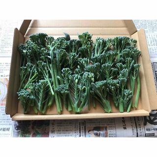 無農薬、ブロッコリー　スティックブロッコリー　脇芽　野菜　(野菜)