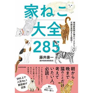 現役獣医師が猫のホンネから不調の原因までを解説! 家ねこ大全 285／藤井 康一(住まい/暮らし/子育て)