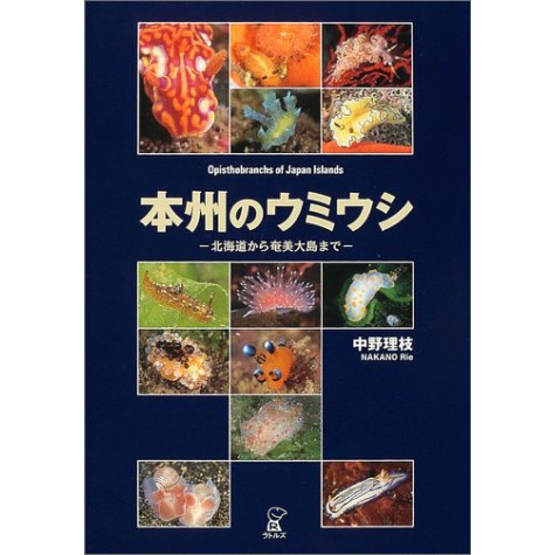 本州のウミウシ―北海道から奄美大島まで エンタメ/ホビーの本(科学/技術)の商品写真