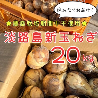 【産地直送】美味しい♪ 農薬栽培期間中不使用 淡路島新玉ねぎ 20kg(野菜)