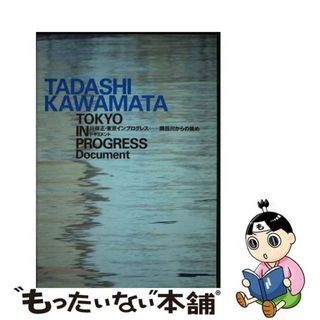 【中古】 川俣正・東京インプログレスー隅田川からの眺めドキュメント/美術出版社/佐藤恵美(科学/技術)