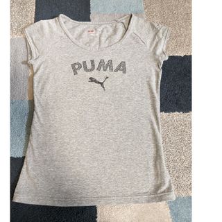 PUMA - レディース　PUMA　キラキラ付き　Ｔシャツ♡