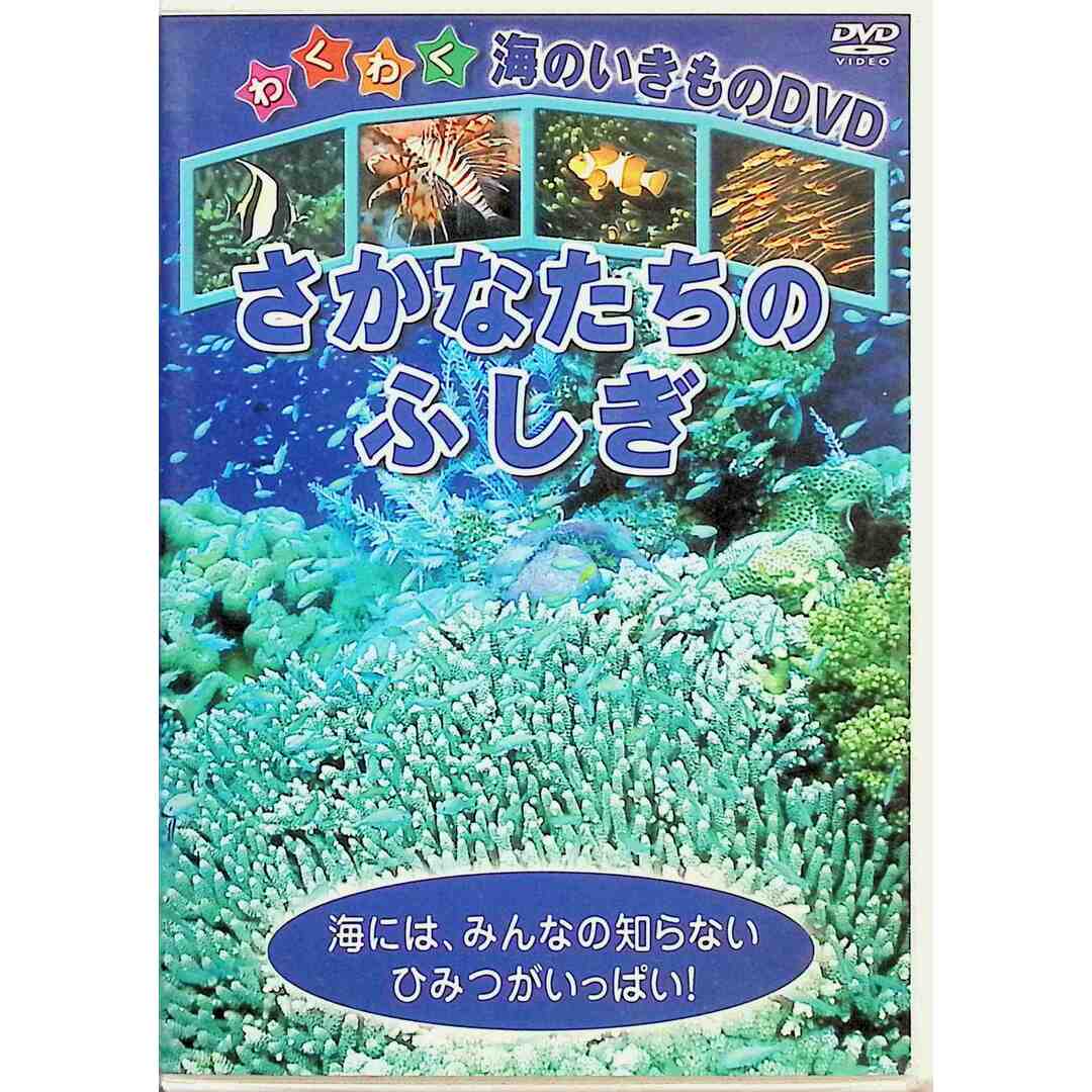 さかなたちのふしぎ [DVD] エンタメ/ホビーのDVD/ブルーレイ(キッズ/ファミリー)の商品写真