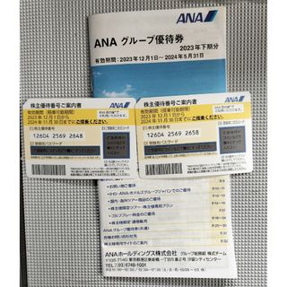 エーエヌエー(ゼンニッポンクウユ)(ANA(全日本空輸))のANA 株主優待券　２万円分(その他)