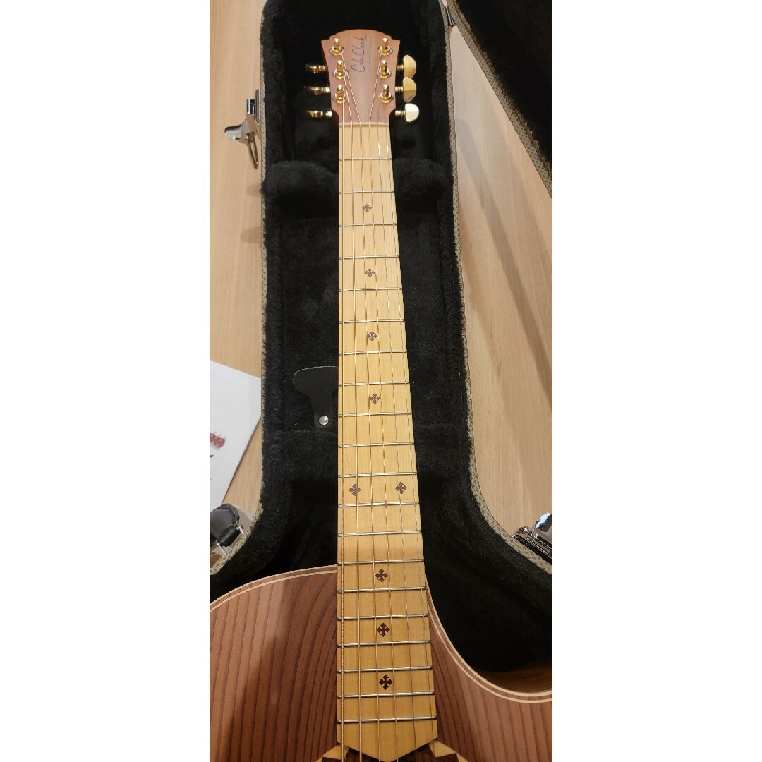 Cole Clark - 新品未使用!Coleclark AN2EC-RDBLSB コールクラーク Cole Clark - 新品未使用!Coleclark AN2EC-RDBLSB コールクラーク