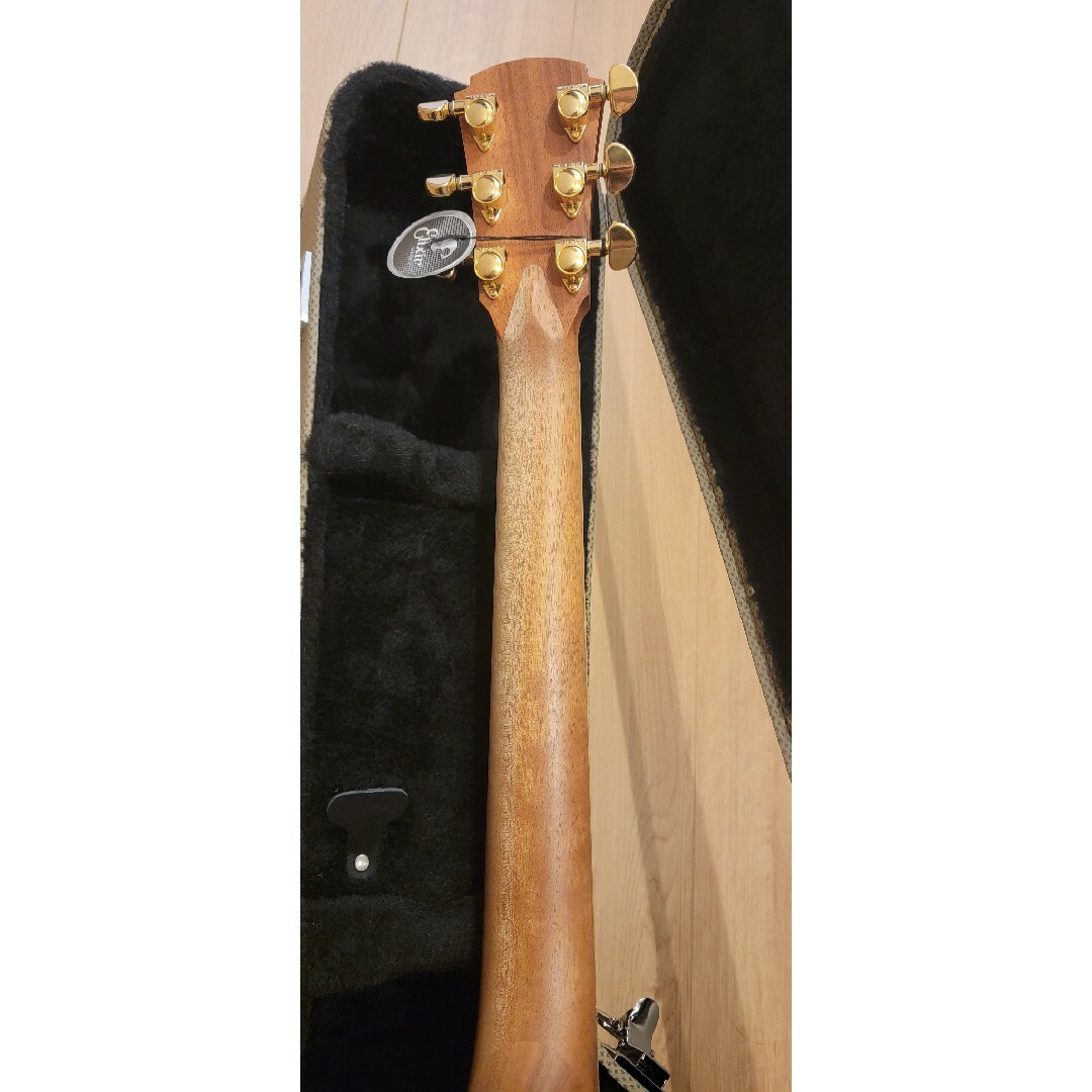 Cole Clark - 新品未使用!Coleclark AN2EC-RDBLSB コールクラーク Cole Clark - 新品未使用!Coleclark AN2EC-RDBLSB コールクラーク