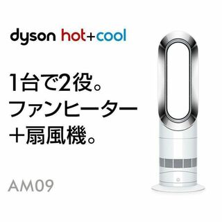 Dyson - 【超美品】2019年製 Dyson ダイソン Hot Cool AM09