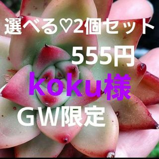 koku様•*¨*•.¸♬︎(その他)