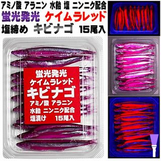 激臭にんにく・甘味料水飴配合 紫外線 ケイムラレッド 塩漬け キビナゴ １５尾入(その他)