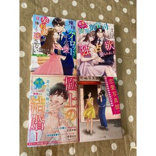 ベリーズ文庫　4冊セット (ウ)(文学/小説)