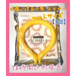 CICIBELLA  シシベラ 【イエロー】大人サイズ  L(その他)