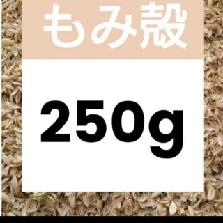 令和5年 もみ殻 籾殻  250g  北海道産 農家直送 お試し 即購入大歓迎(その他)
