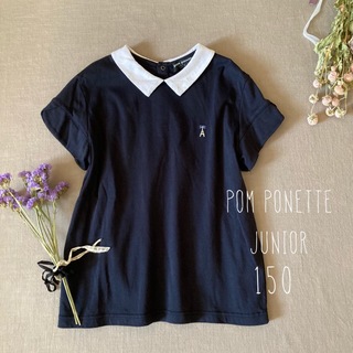 pom ponette - ポンポネットジュニア୨୧ 品ある襟元刺繍 お嬢様トップス150