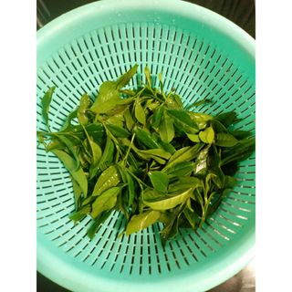 取り立て無農薬お茶新芽60g(野菜)