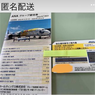 エーエヌエー(ゼンニッポンクウユ)(ANA(全日本空輸))のANA株主優待券1枚　割引冊子1冊(その他)